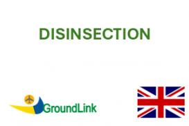 Disinsection - EN